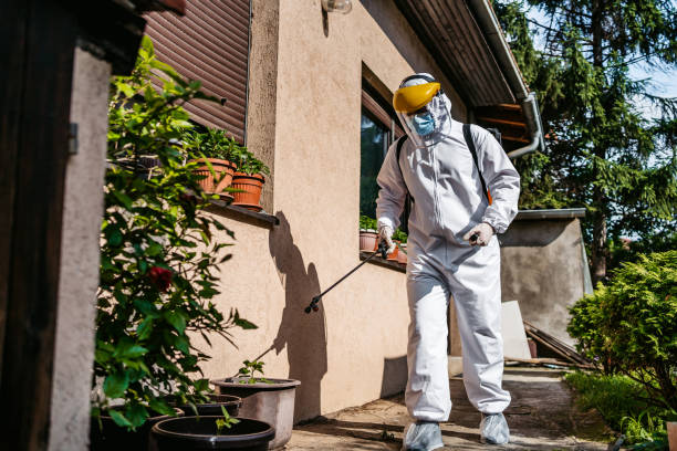 Best Commercial Pest Control Services  in Tucson Mountains, AZ